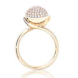 Tamara Comolli - Pavè Ring