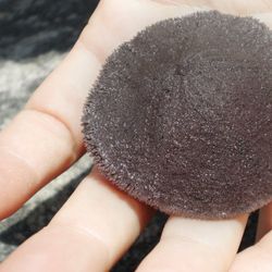 Quelle der Inspiration: Seeigel und Lebewesen, die versteckt im Sandboden des Ozeans leben