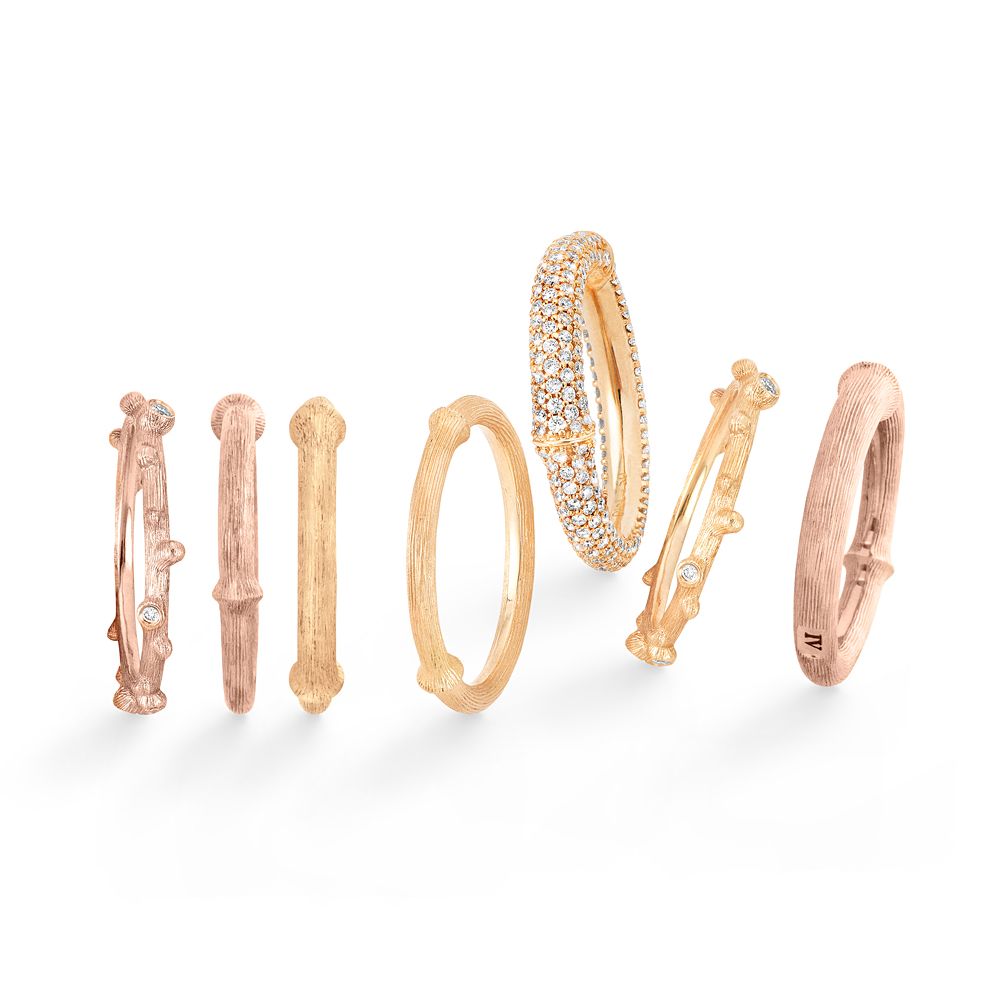 Ring Nature - Image 4