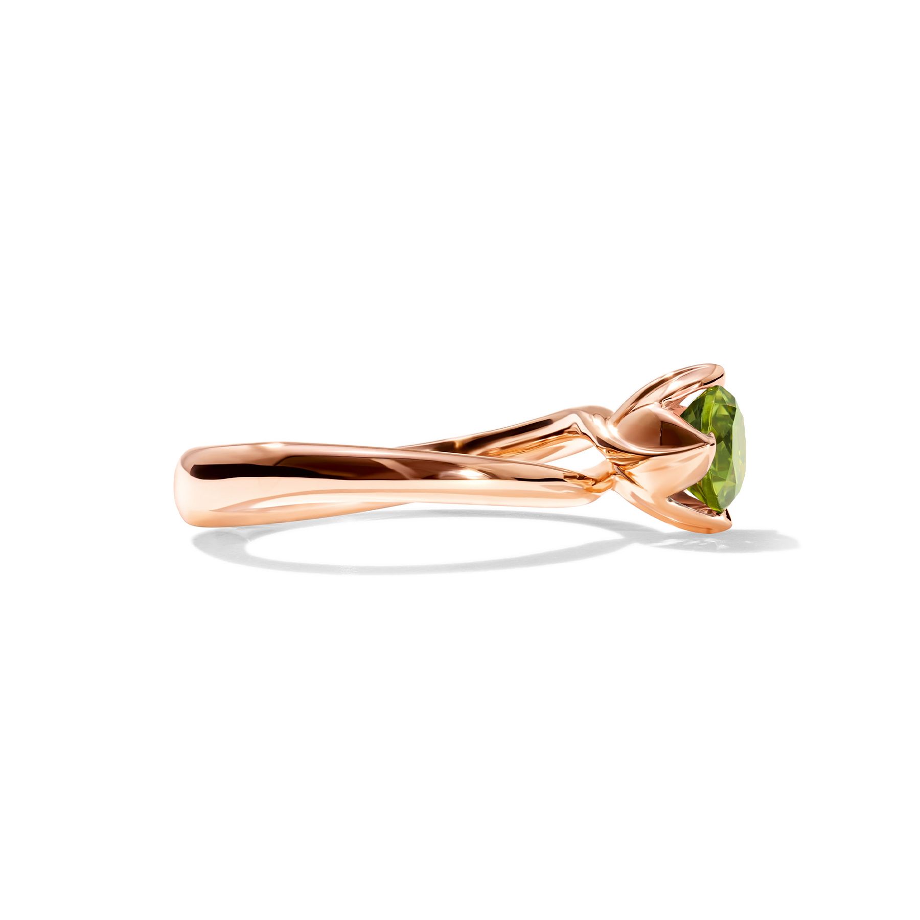 Ring Tulip - Image 3