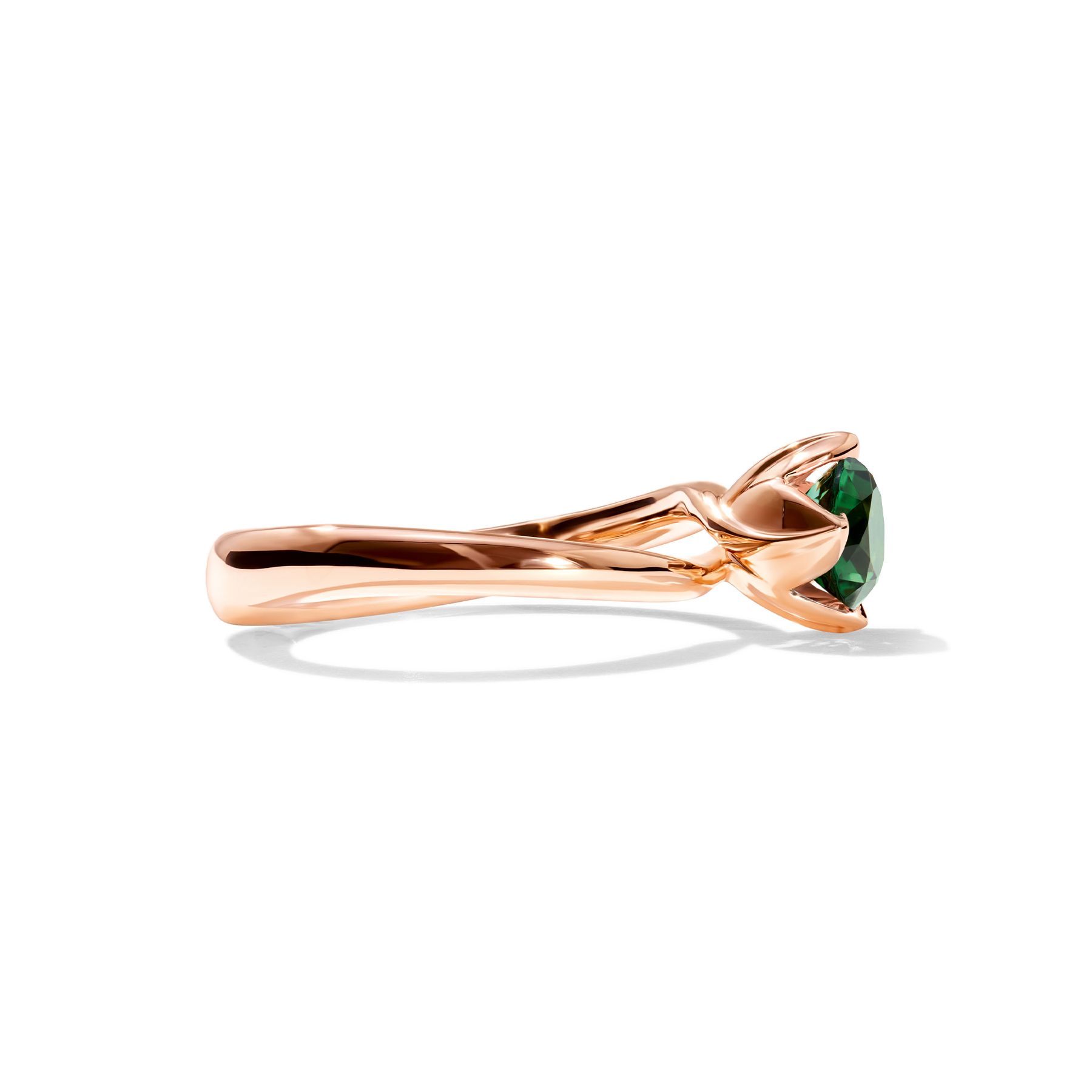 Ring Tulip - Image 3