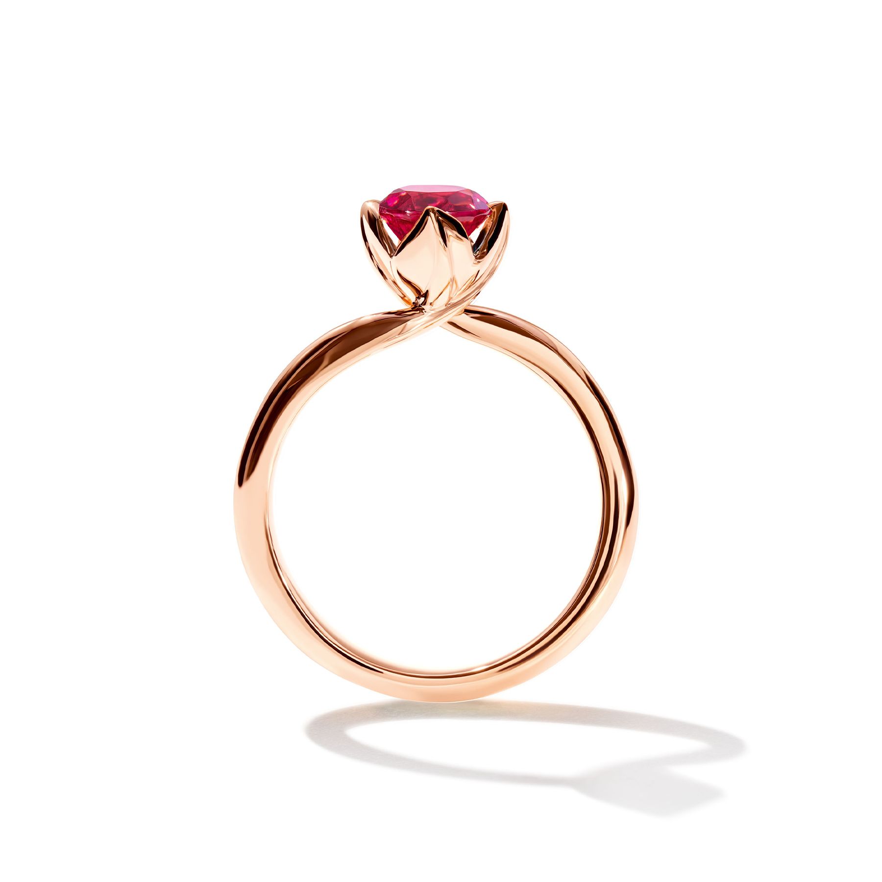 Ring Tulip