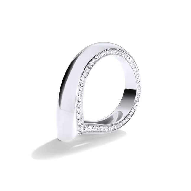 Ring Signature Drop