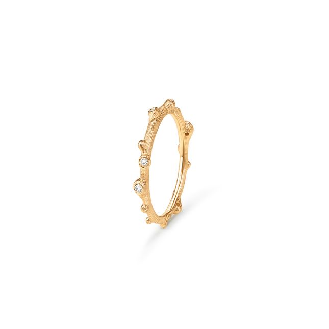 Ring Nature