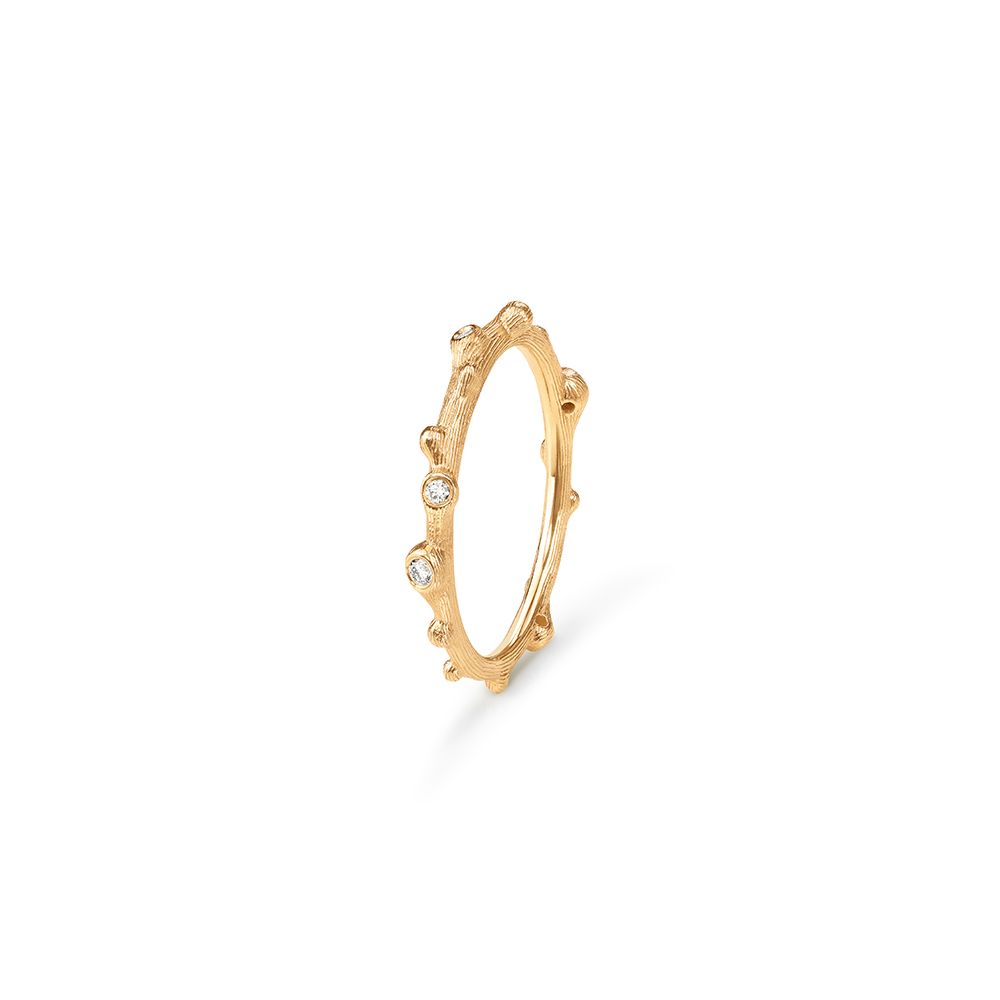 Anello Nature